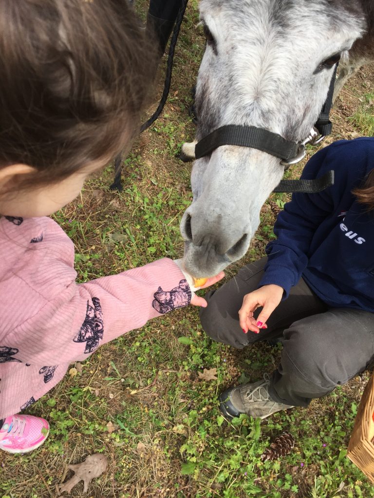 PERCORSO DI PET THERAPY